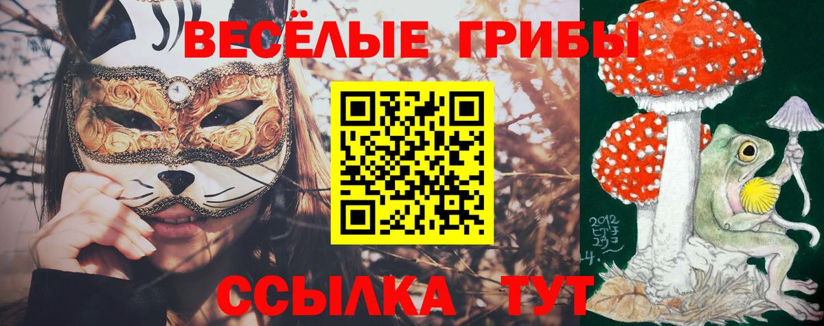Славгород  Псилоцибиновые грибы ЛСД  Вход с VPN 